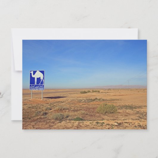 Panneau de chameaux, carte Tunisie (Devant)