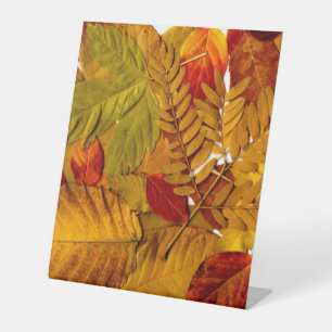 Panneau de socle en plastique 10"X12"