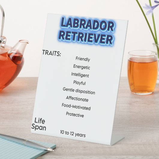 Panneau du piédestal (In SItu)