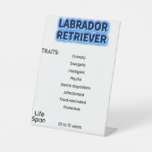 Panneau du piédestal (Recto)