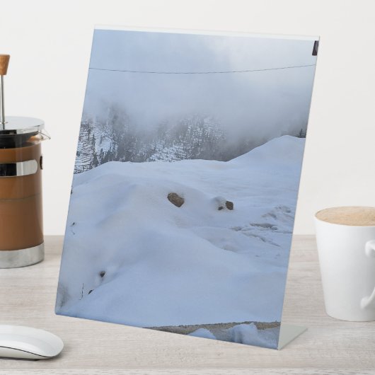 Panneau du piédestal (In SItu)