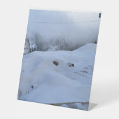 Panneau du piédestal (Recto)