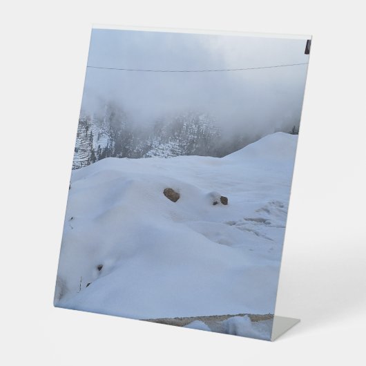 Panneau du piédestal (Recto)