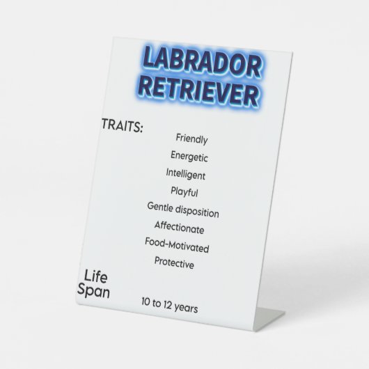 Panneau du piédestal (Recto)