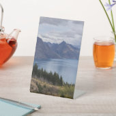 Panneau du piédestal (In SItu)