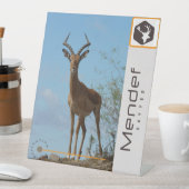 Panneau du piédestal (In SItu)