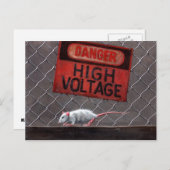 Panneau haute tension Rat sur clôture Carte postal (Devant / Derrière)