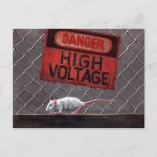 Panneau haute tension Rat sur clôture Carte postal