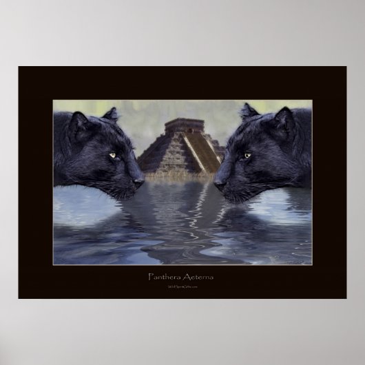 PANNEAU NOIR & CHICHEN ITZA Poster (Devant)