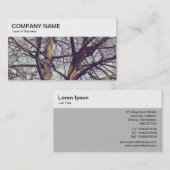 Panneau supérieur - Branches d'hiver 02 Carte de v (Devant / Derrière)