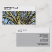 Panneau supérieur - Branches d'hiver 03 Carte de v (Devant / Derrière)