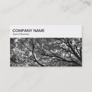Panneau supérieur - Branches et Carte de visite BW