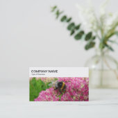 Panneau supérieur - Bumble Bee sur Carte de visite (Debout devant)