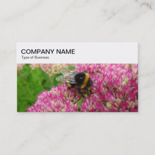 Panneau supérieur - Bumble Bee sur Carte de visite