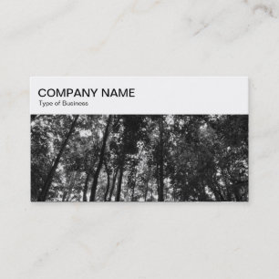 Panneau supérieur - Carte de visite BW Woodland