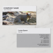 Panneau supérieur - Carte de visite d'écureuil gri (Devant / Derrière)