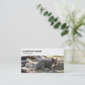 Panneau supérieur - Carte de visite d'écureuil gri (Debout devant)