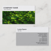 Panneau supérieur - Carte de visite Feuille éclair (Devant / Derrière)