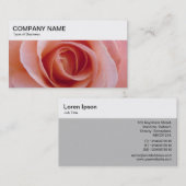 Panneau supérieur - Carte de visite rose (Devant / Derrière)