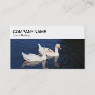 Panneau supérieur - Emden Geese Carte de visite