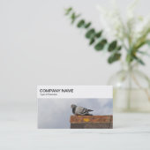 Panneau supérieur - Pigeon sur un Carte de visite (Debout devant)