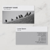 Panneau supérieur - Pigeons sur un Carte de visite (Devant / Derrière)