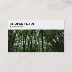 Panneau supérieur - Woodland 02 Carte de visite