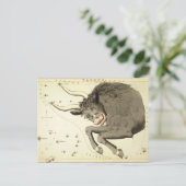 Panneau Zodiac : Cartes postales Taurus (Debout devant)