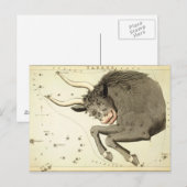 Panneau Zodiac : Cartes postales Taurus (Devant / Derrière)