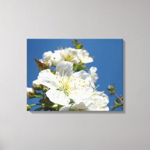 Panneaux de toile d'art fin Cerisiers en fleurs Ar