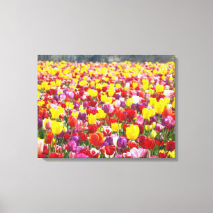 Panneaux de toile de tulipes printanières Art fin