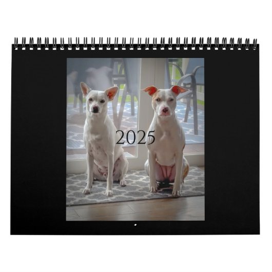 Pannenkoek en milkshake, middelgrote kalender (Hoes)