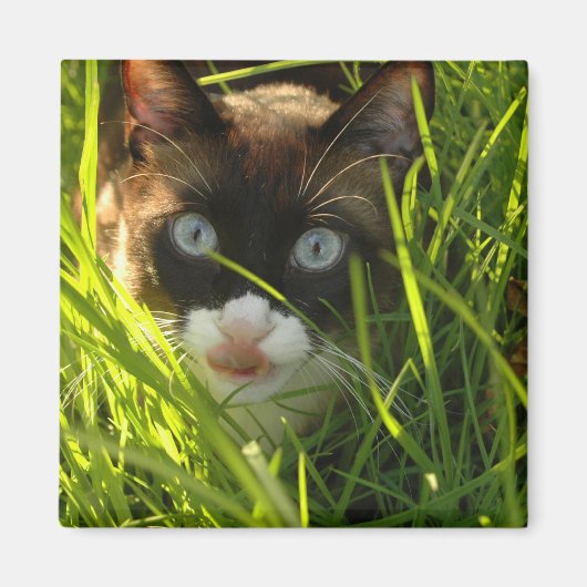 Pannenkoekenmagneet Magneet (Voorkant)