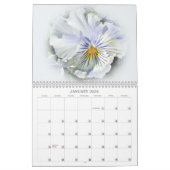 Panoplie de Panneaux Calendrier (Jan 2026)