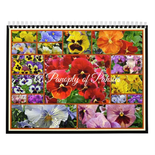 Panoplie de Panneaux Calendrier (Protection)