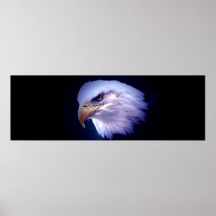 Panorama American Bald Eagle Poster Print