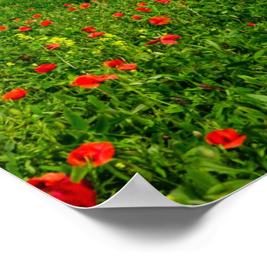 Panorama du paysage toscan Poster (Coin)