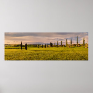 Panorama of Tuscan landscape Poster