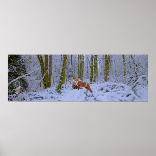 Panorama Poster (Voorkant)