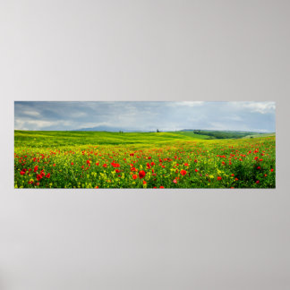 Panorama van het Poster van het Toscaanse landscha