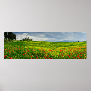 Panorama van het Poster van het Toscaanse landscha