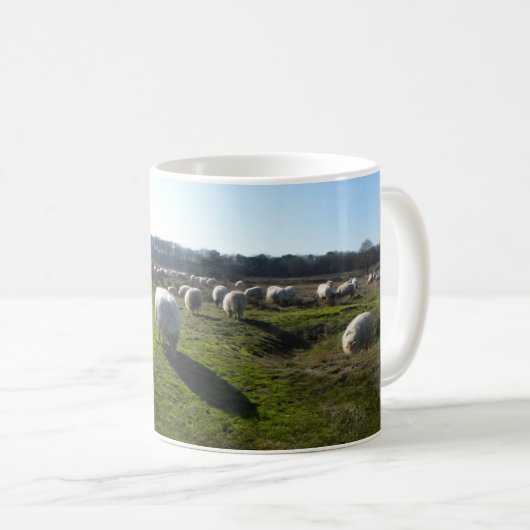 Panoramisch Heathland met Mok van schapen (Voorkant rechts)