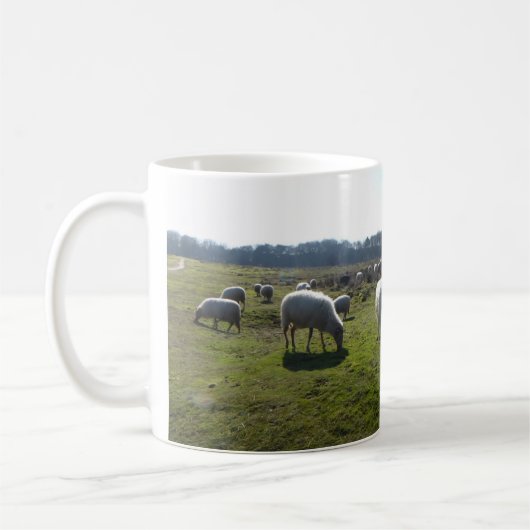 Panoramisch Heathland met Mok van schapen (Links)