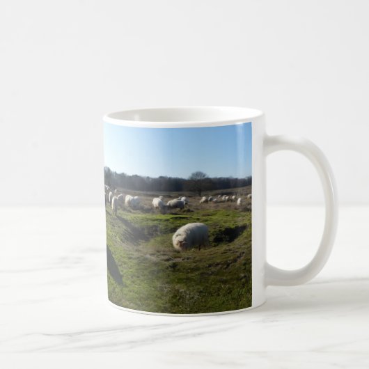 Panoramisch Heathland met Mok van schapen (Rechts)