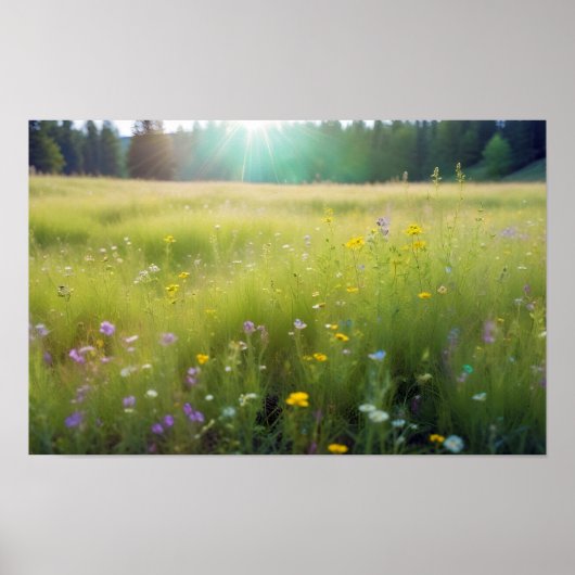 Panoramisch Landschap Meadow Natuur Rustig landsch Poster (Voorkant)