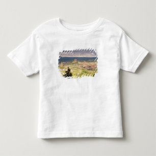 Panoramisch uitzicht van Le-Puy-en-Velay Kinder Shirts