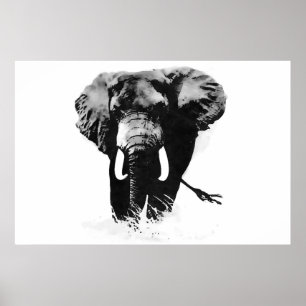 Panoramische B&W Olifant Posters Prints