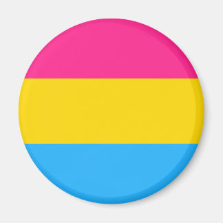 Panseksuele vlag magneet