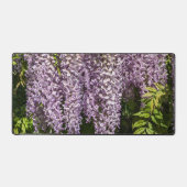 Pansement de la glycine violette florale (Recto)