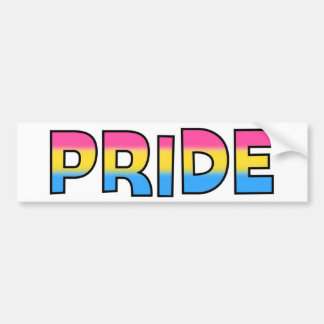 Pansexual/Omnisexual Pride Bumpersticker
